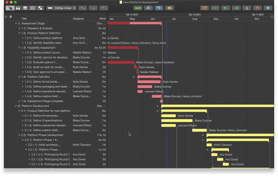 Image of user using OmniPlan