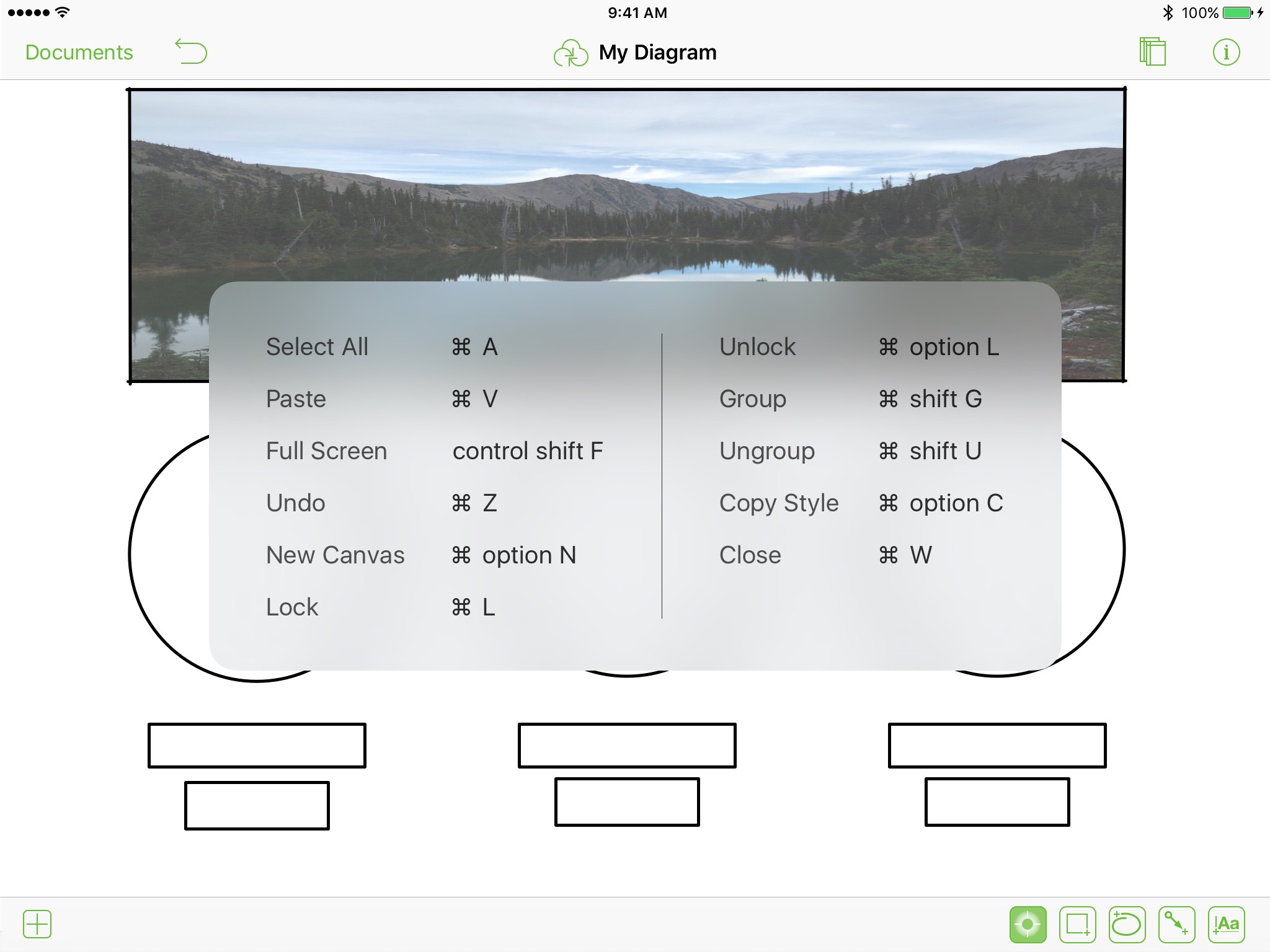 Hardware keyboard support popup in OmniGraffle on an iPad Pro