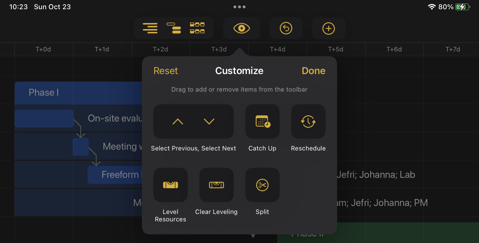 OmniPlan 4.5 screenshot showing customizable toolbar options on iPad